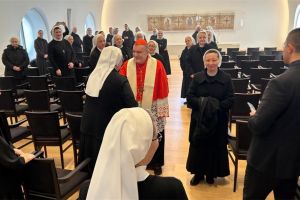 Družba sestara milosrdnica sv. Vinka Paulskog